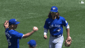 Major League Baseball Sport GIF by MLB