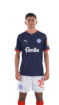 Du Spinnst Sticker by Holstein Kiel