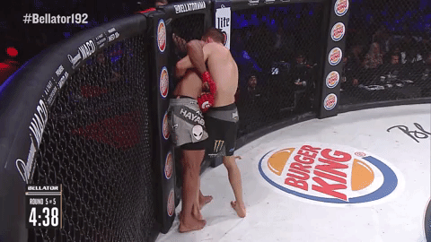 GIF by Bellator