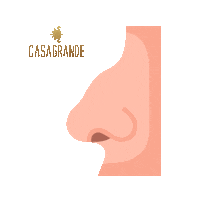 Rinoplastia Sticker by Clinica Casagrande