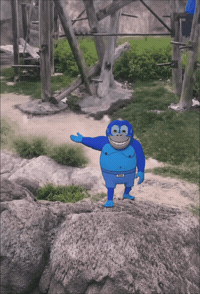 Ronke GIF by Tribally
