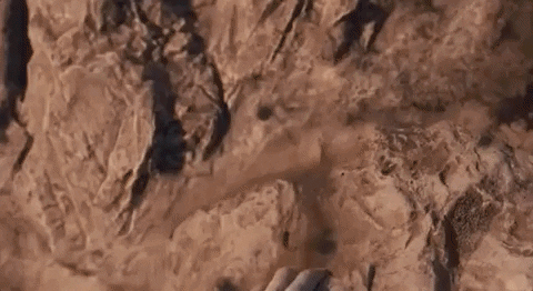 marsmagazine giphygifgrabber GIF