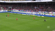 fckoeln football soccer goal bundesliga GIF