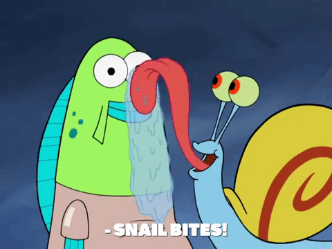 season 8 episode 22 GIF by SpongeBob SquarePants