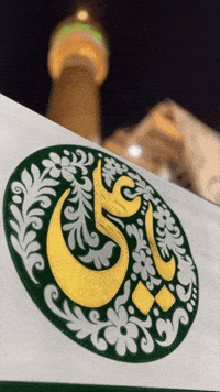 Ali Shia GIF
