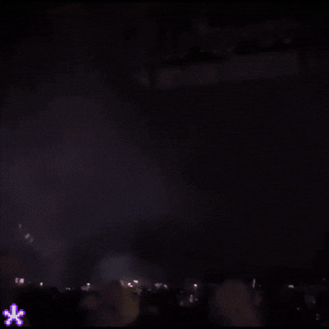 Lisa Coachella GIF