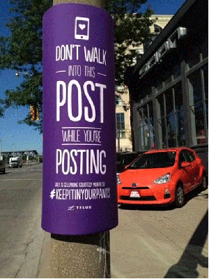 pole GIF