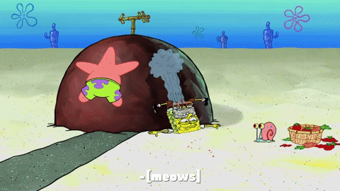 season 9 GIF by SpongeBob SquarePants