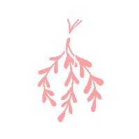 Cyndgrafica navidad fiestas feliznavidad studioc2 Sticker