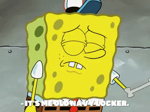 season 7 the curse of bikini bottom GIF by SpongeBob SquarePants
