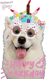 Happy Birthday Party Sticker