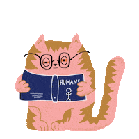 Cat Illustration Sticker