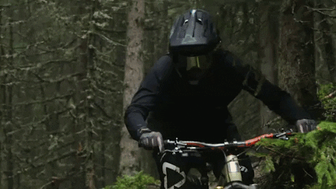 GIF by Tienda Ride
