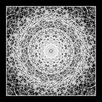 Black And White Loop GIF by xponentialdesign