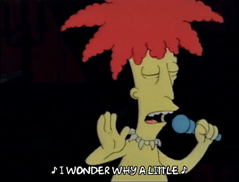 Season 1 GIF by The Simpsons