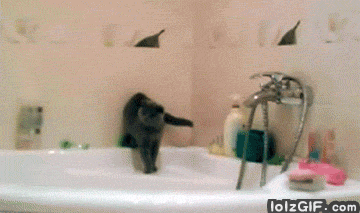 bathtub GIF