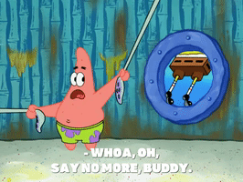 season 8 GIF by SpongeBob SquarePants