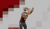 Washington State Go Cougs GIF by WSU Pullman