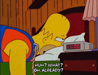 homer simpson GIF