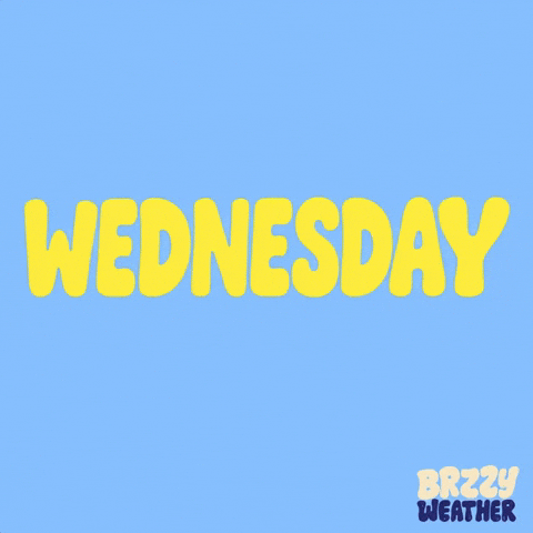 Sunny Day App GIF by Brzzy