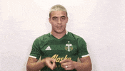 timbersfc soccer mls timbers rctid GIF