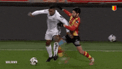 yrkvmechelen football soccer fall strong GIF