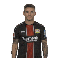 Greeting Bayer Leverkusen Sticker by Bundesliga