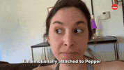 Dogs International Dog Day GIF by BuzzFeed