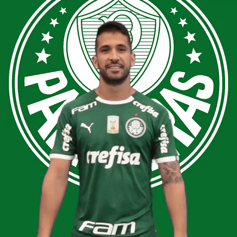 Palmeiras giphyupload soccer ok thumbs up GIF