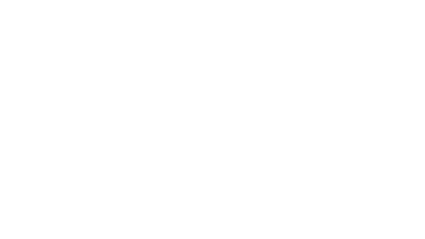 Birds Sticker by TV2 HUN