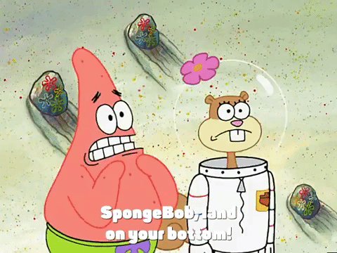 season 3 GIF by SpongeBob SquarePants