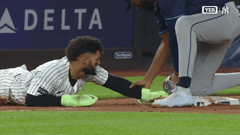 New York Yankees Sport GIF by MLB