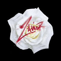 Zavier Whiteroses GIF by Fetty Wap