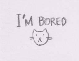 bored cat GIF by hoppip