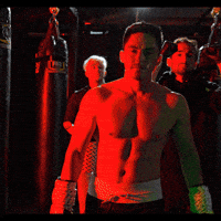 Boxing GIF