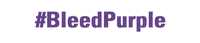 Bleedpurple Sticker by Curry College