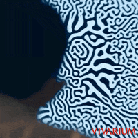 GIF by Vertigo Releasing