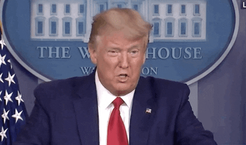 Donald Trump GIF