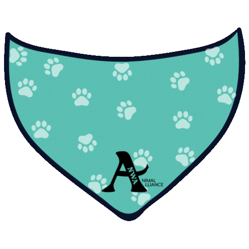 Spay Spaying Sticker by Big Paws of the Ozarks