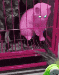 Steam Give GIF by Marathon