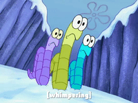 season 8 frozen face-off GIF by SpongeBob SquarePants