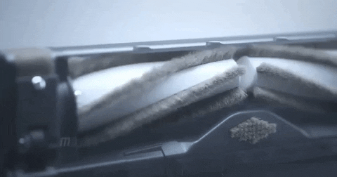 rikcoshim giphyupload GIF