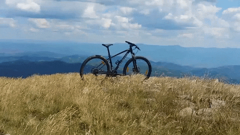 anz1a29icmf0mtk4n0b5ywhvby5jb20 giphyupload GIF