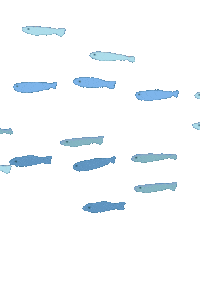 Summer Swimming Sticker