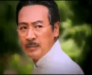 jin fei shi jia GIF