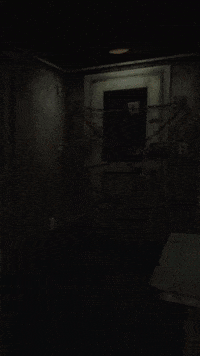 Caught in 4k