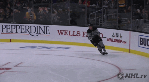 happy ice hockey GIF by NHL