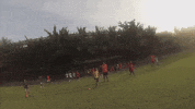 Crossover Basketball GIF