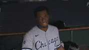 Major League Baseball Sport GIF by MLB