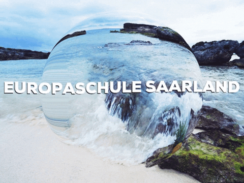 Fun Party GIF by PrivatschulenPORTAL.de